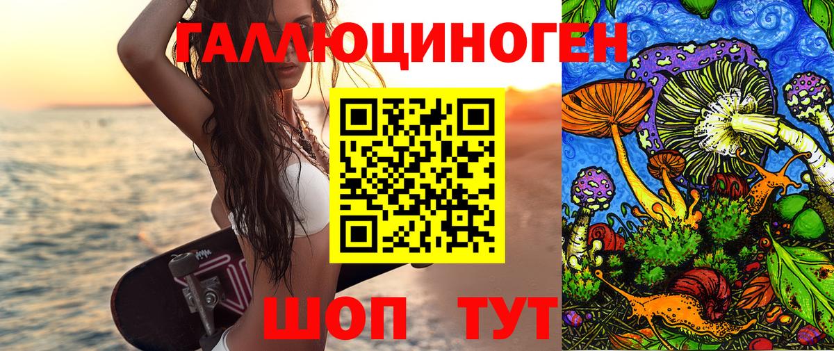 Псилоцибиновые грибы Magic Shrooms  Галлюциногенные грибы Psilocybine cubensis  Кувандык  Вход с VPN 