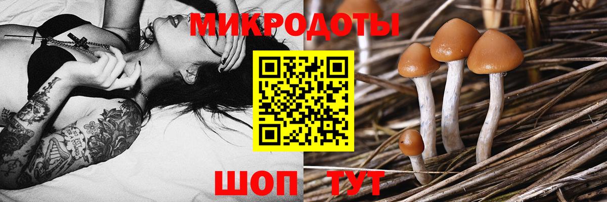Галлюциногенные грибы GOLDEN TEACHER Кувандык