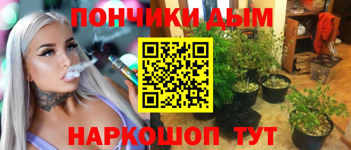 Кувандык  Бошки марихуана MAZAR  Шишки марихуана Ganja  Вход с VPN 